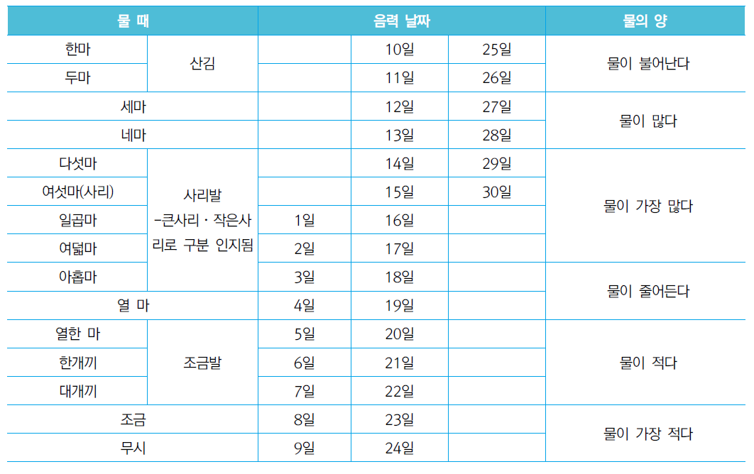 때와 물의 양