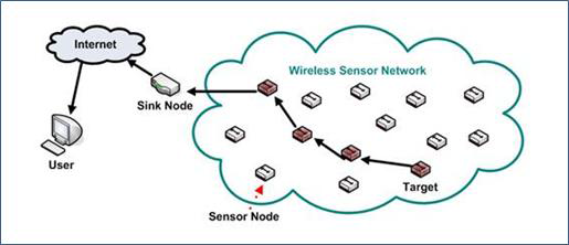 Wireless Sensor Network