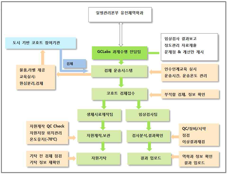 연구수행체계