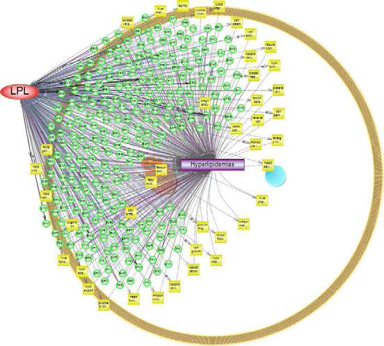 LPL 유전자와 고지혈증 연관성에 대한 네트워크 구축