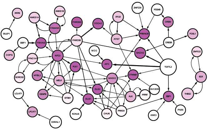 성인당뇨병에 관련된 후보 유전자들의 네트워크