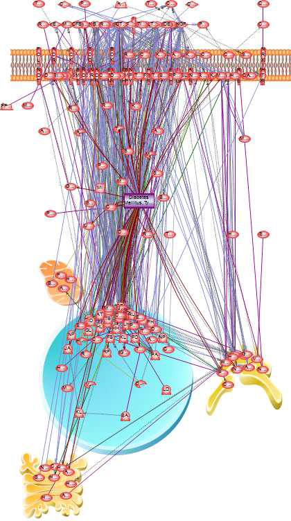 GWAS-SNP 유전자와 당뇨병에 대한 연관성 네트워크 구축