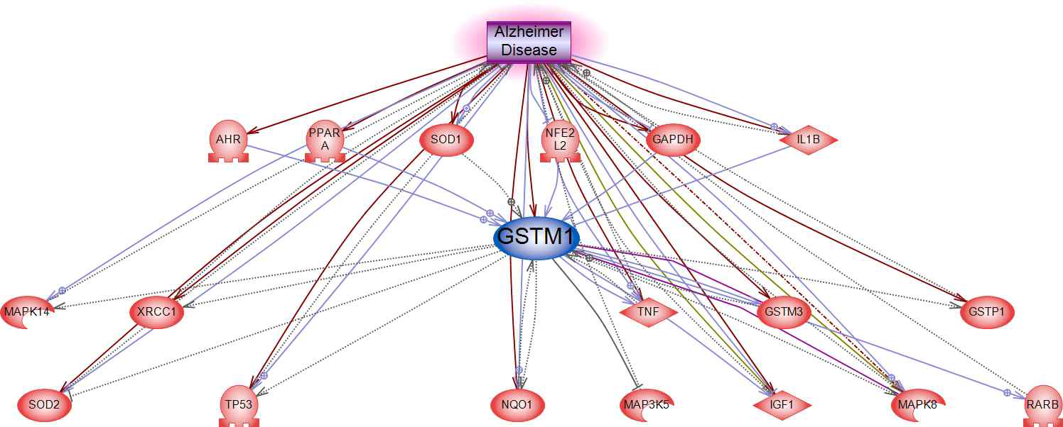 GSTM1을 이용한 Alzheimer disease 에 대한 네트워크 구축