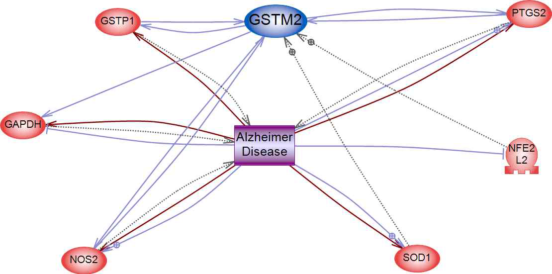 GSTM2을 이용한 Alzheimer disease 에 대한 네트워크 구축