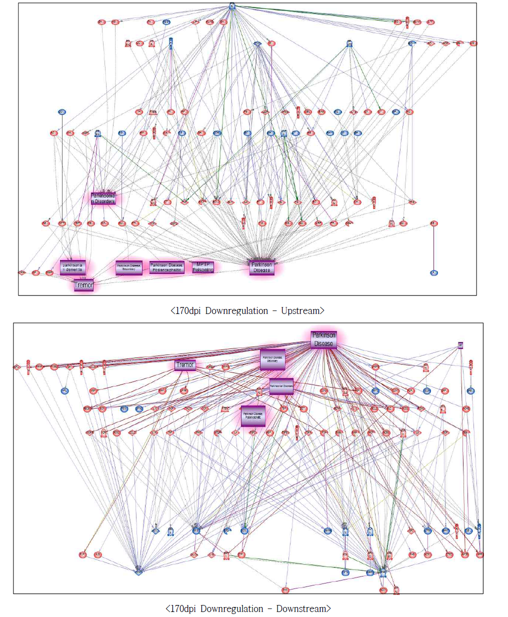 170dpi 저발현 유전자에서의 파킨슨병에 대한 네트워크 구축