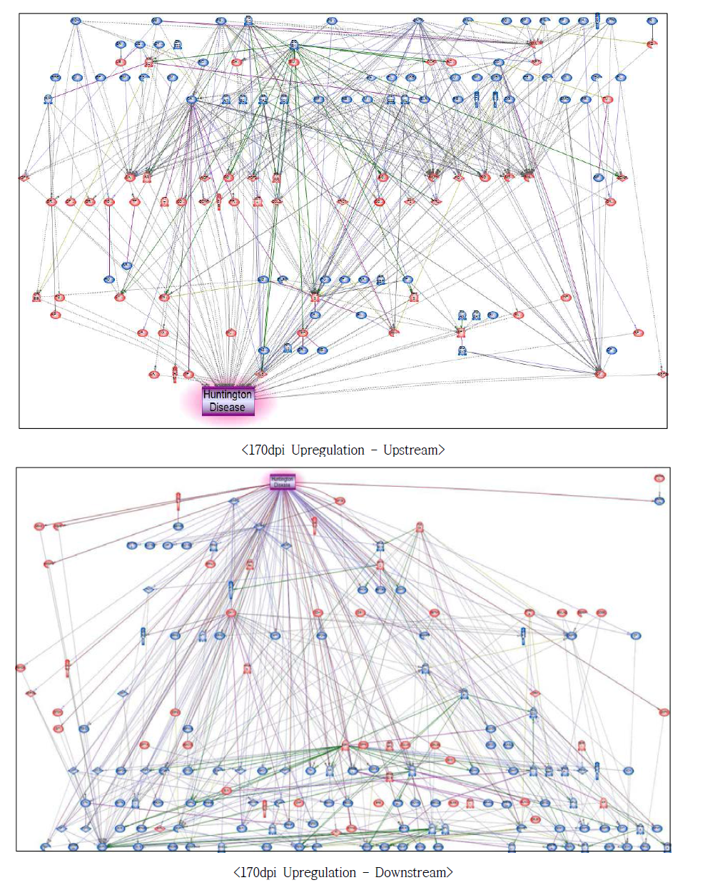 170dpi 과발현 유전자에서의 헌팅턴병에 대한 네트워크 구축