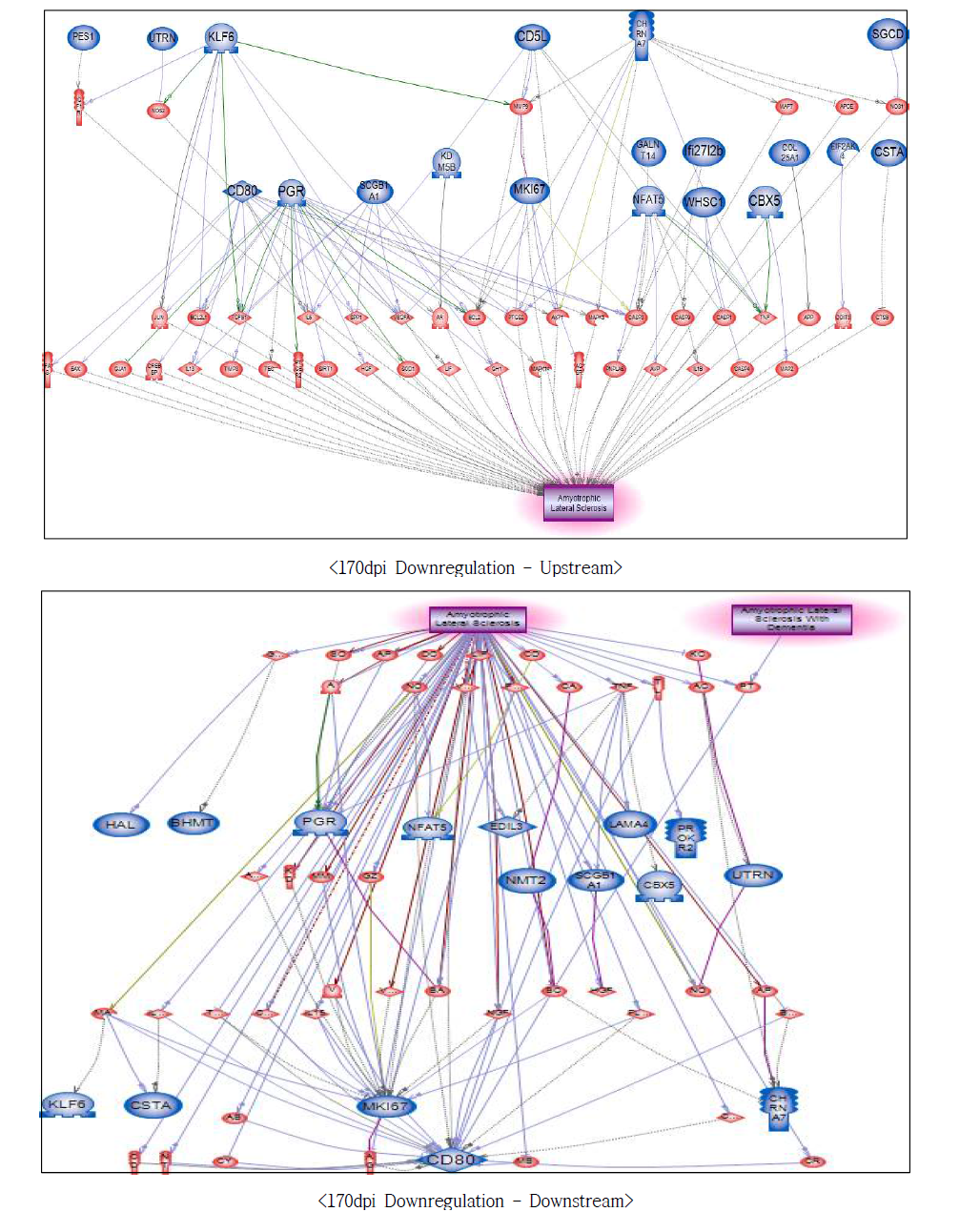170dpi 저발현 유전자에서의 루게릭병에 대한 네트워크 구축