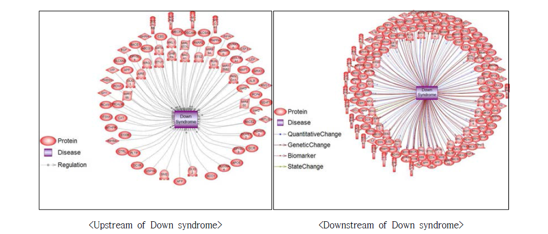 기존 보고된 다운증후군에 대한 분자 네트워크 구축