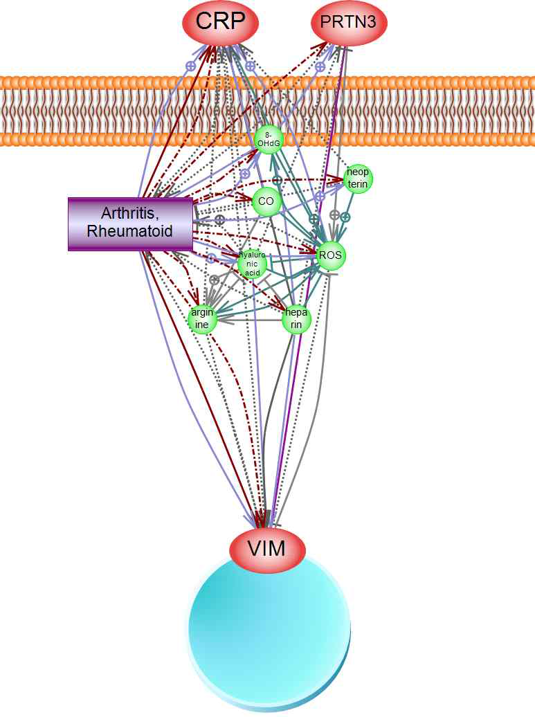 류마티스 관절염에 대한 biomarker를 활용한 상호작용 네트워크 구축