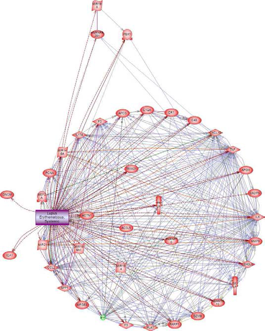 전신 홍반 루프스에 대한 biomarker를 활용한 상호작용 네트워크 구축