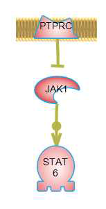 STAT6 signaling pathway