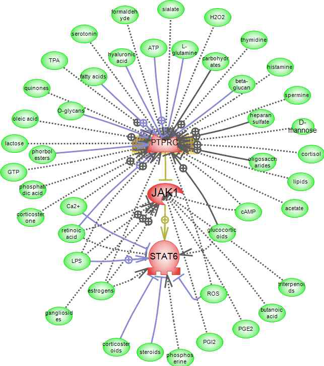 PTPRC -> STAT6 signaling pathway에 관여하는 small molecule 정보