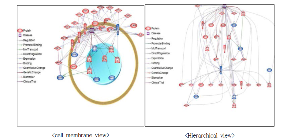 후보유전자를 활용한 골수섬유증에 대한 네트워크 구축