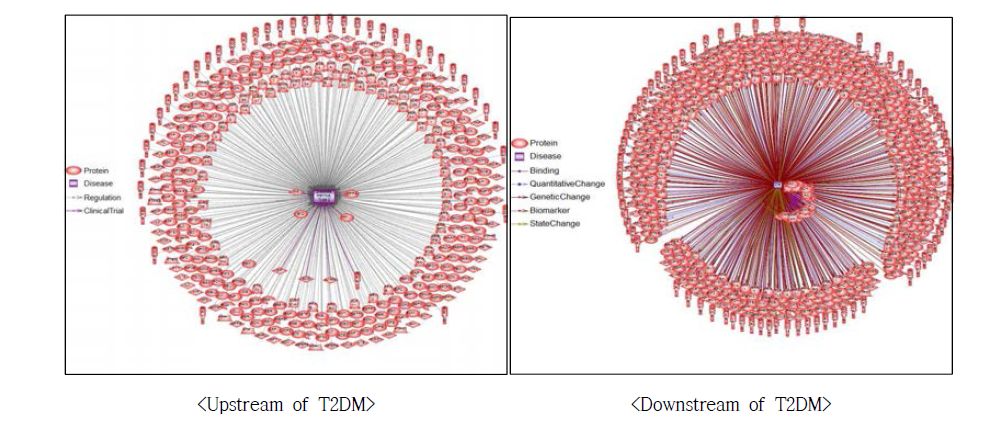 기존 보고된 T2DM에 대한 분자 네트워크 구축