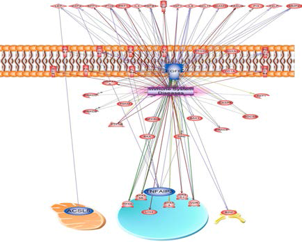 Candidate gene을 이용한 면역질환에 대한 네트워크 구축
