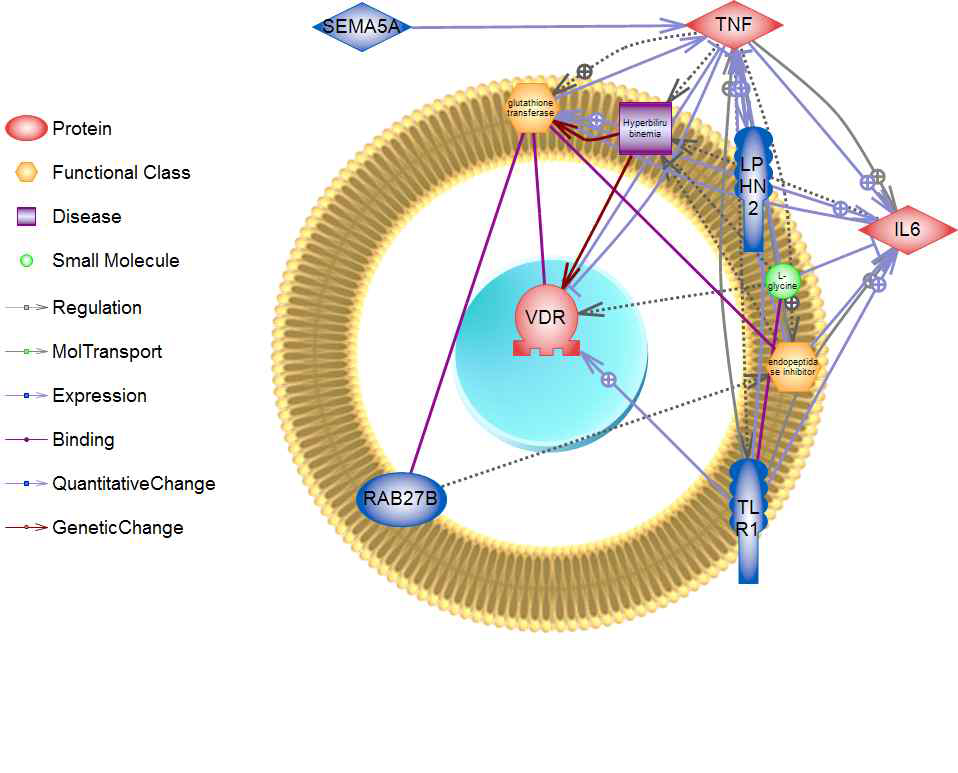 Candidate gene을 이용한 고빌리루빈혈증에 대한 네트워크 구축