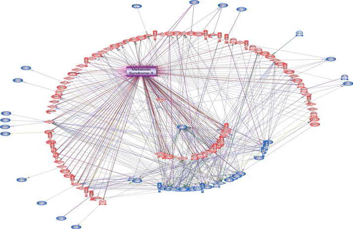 Candidate gene을 이용한 대사증후군에 대한 네트워크 구축