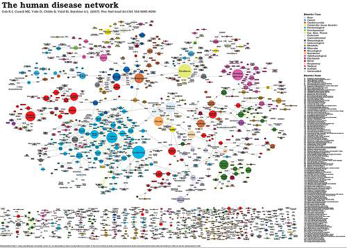 인간 질병 네트워크