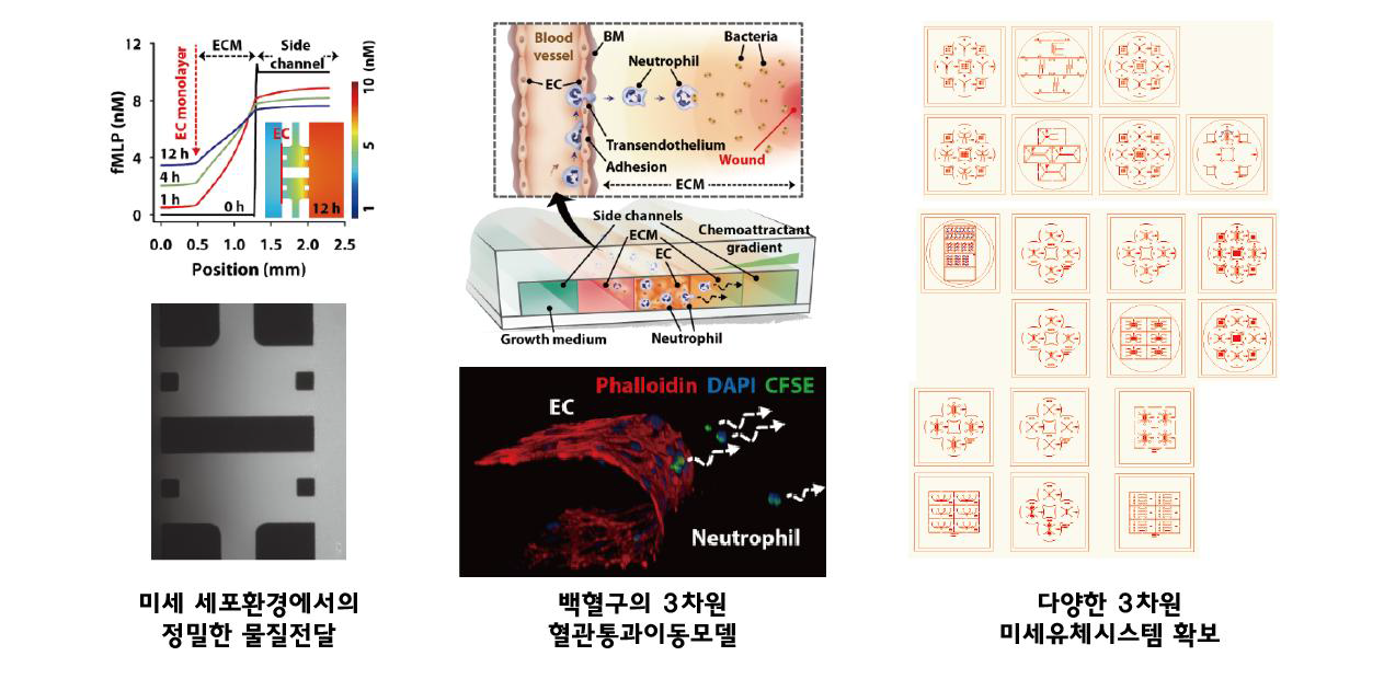 보유중인 3차원 세포 공동배양 미세유체 시스템 기술 예