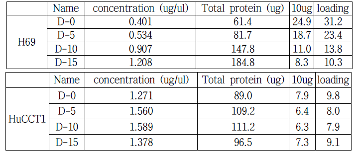 3차원 고용량 세포배양 소자에서 형성된 H69 및 HuCCT1 세포의 spheroid 로부터 획득한 수용성 단백질 양