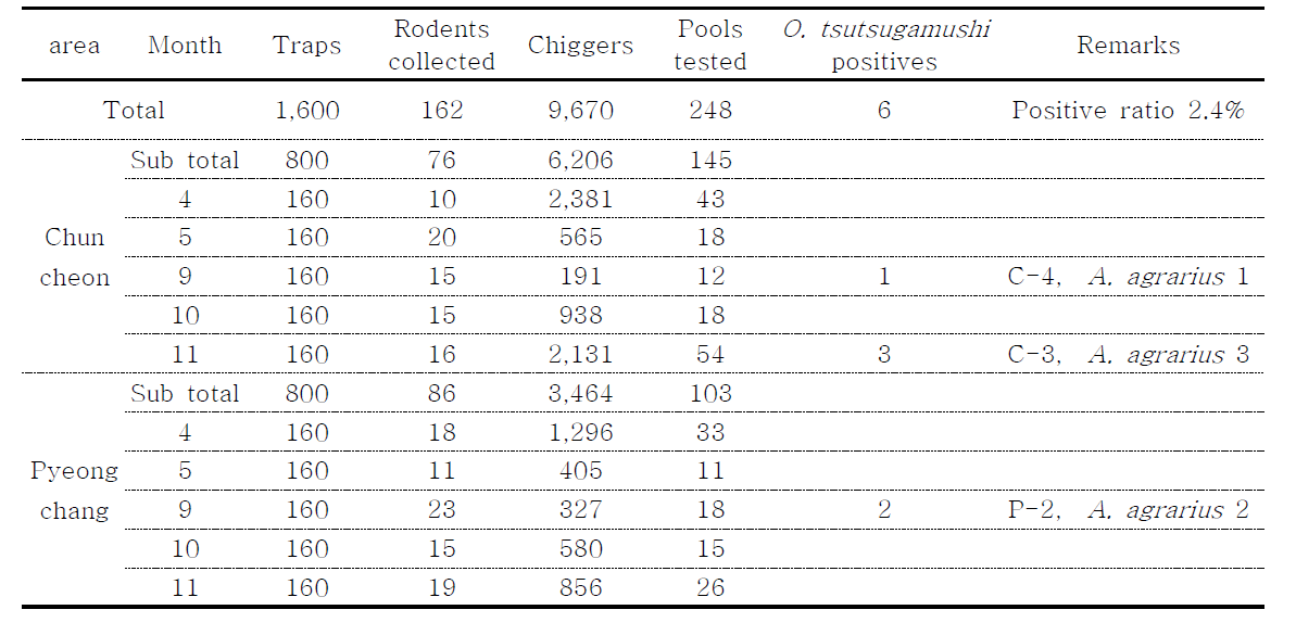 Detection of O. tsutsugamushi from wild rodents by PCR and density of chigger mites and rodents collected at Chuncheon and Pyeongchang in 2014