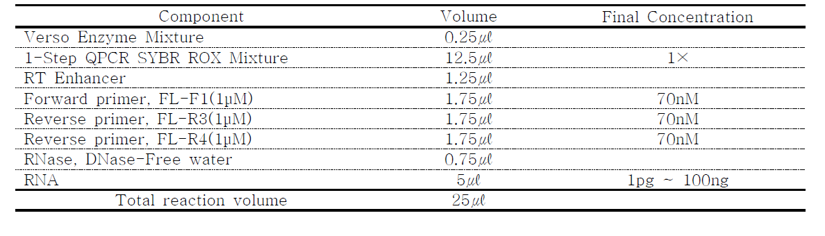 Real time RT-PCR 반응 조성