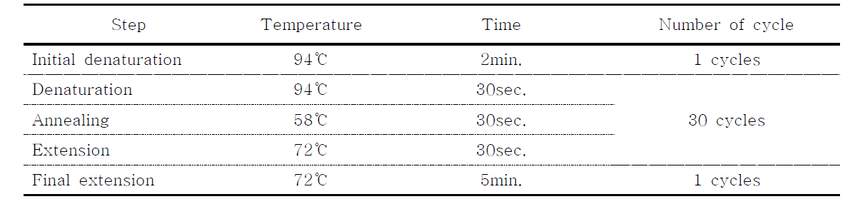 Conventional PCR 조건