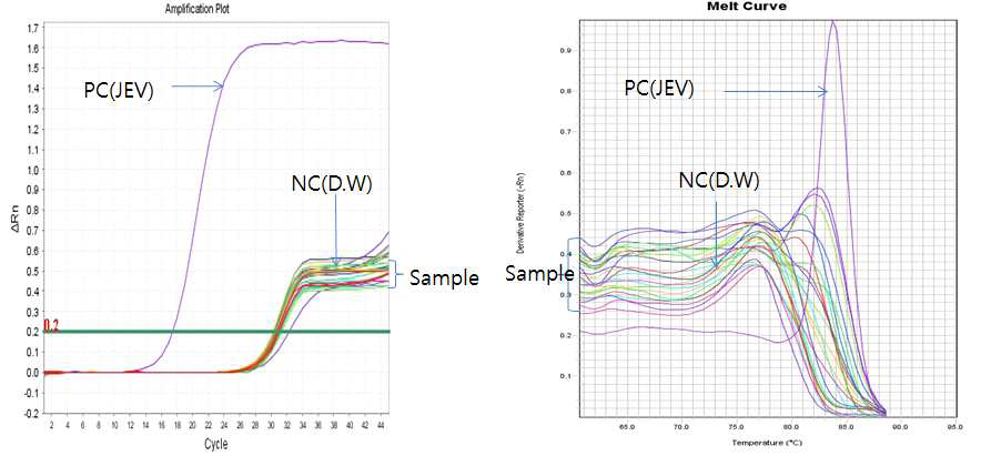 An amplification plot and a melt curve for JEV detection from breeding chicken (domestic fowl) at the habitat for migratory birds in Chuncheon and Hoengseong, 2014