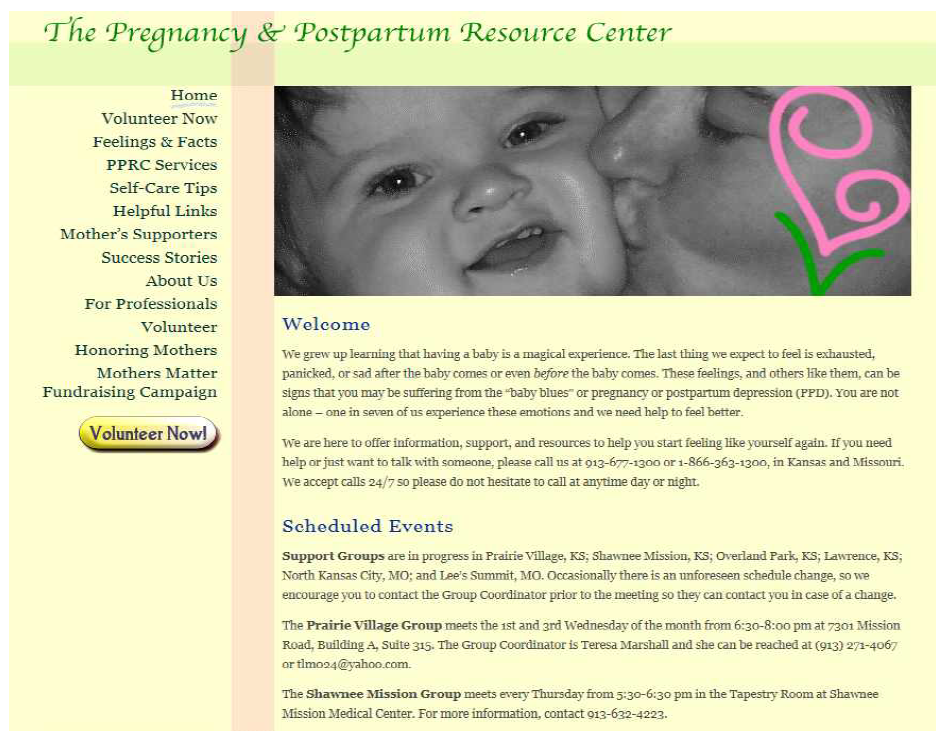 임신 및 산후 자원 센터 홈페이지