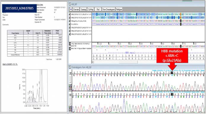 HbAle variant window_thalassemia mutation