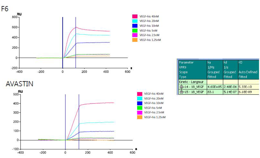 Anti- VEGF 항체의 VEGF에 대한 SPR측정에 의한 결합력 비교의 예
