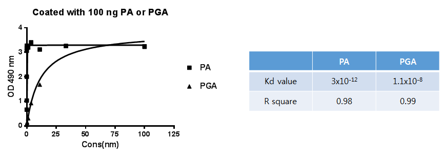 Affinity test of PA antibodies