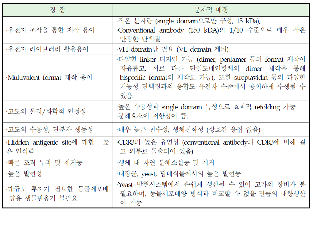 단일도메인항체의 장점