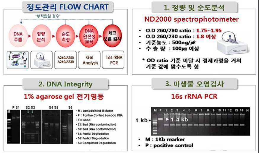 gDNA 정도관리 Flow