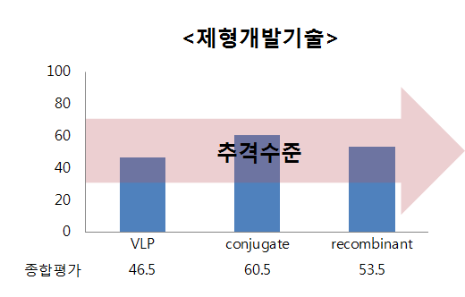 제형개발기술 수준