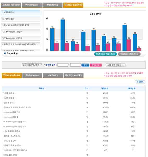 뇌졸중 등록체계 Statistics Reporting 화면