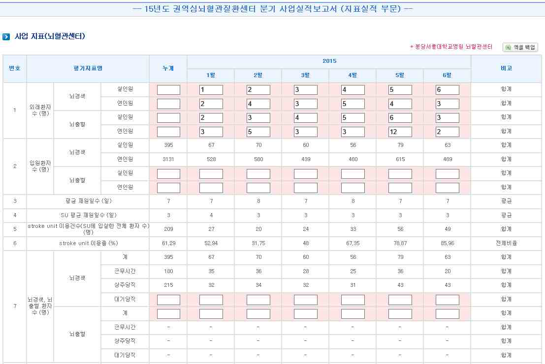 뇌졸중 등록체계 분기사업실적보고서 화면