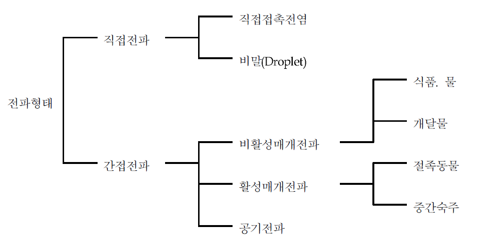 전파 형태