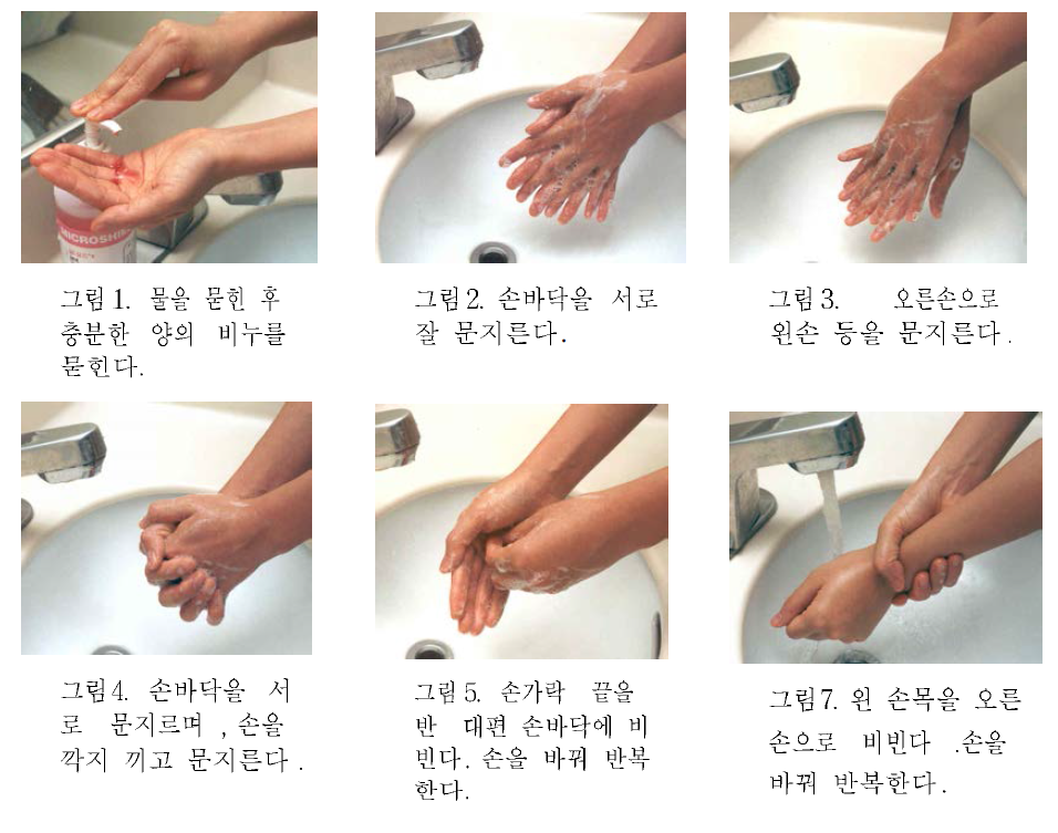 손 씻는 방법