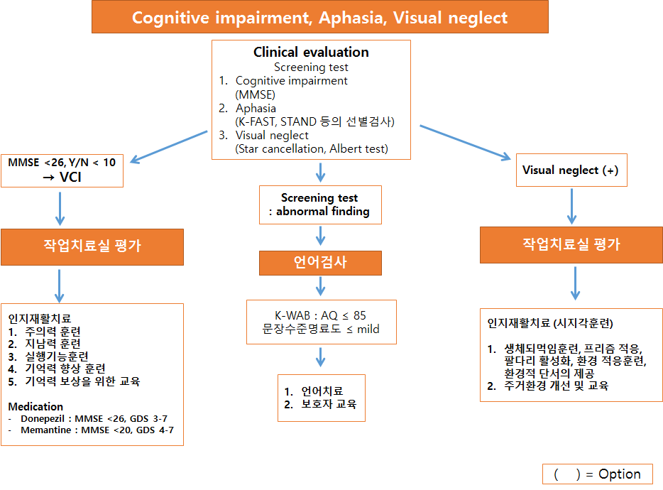 인지, 언어장애 및 편측 무시 평가 및 치료 흐름