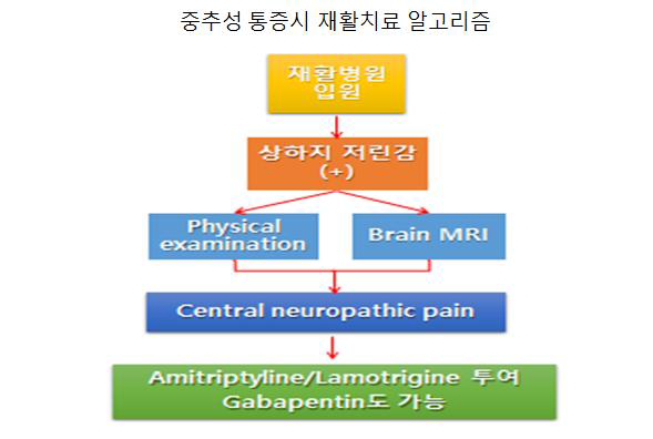 중추성 통증평가 및 치료 흐름