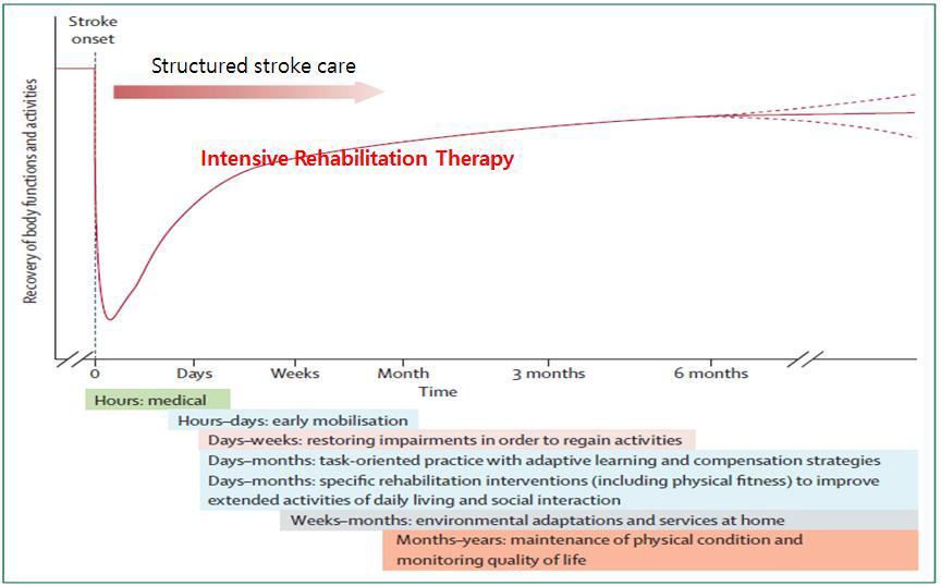 뇌졸중 발병후 시기별 회복과 재활치료의 효과