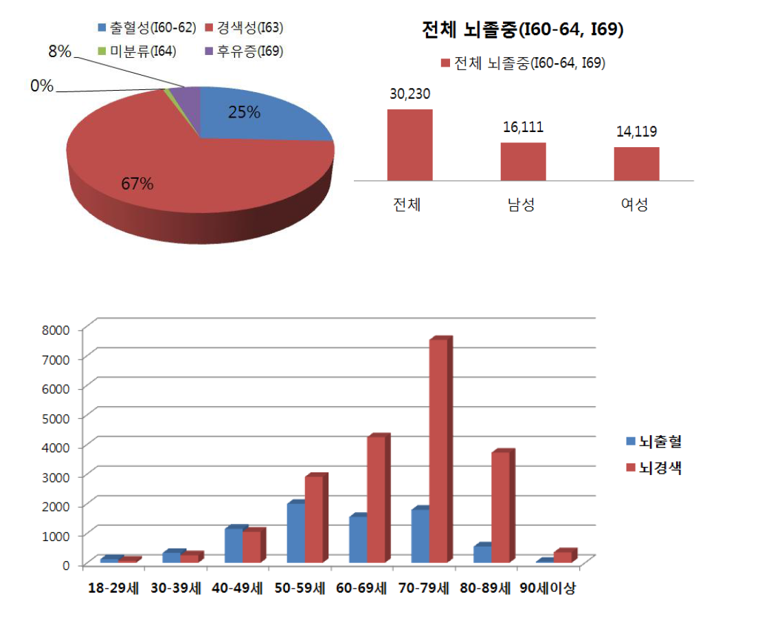 2013년 뇌졸중 환자의 인구학적 데이터