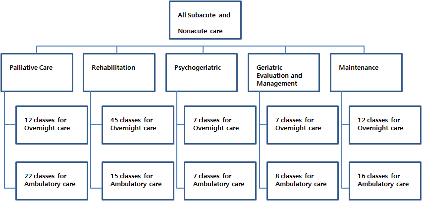 호주의 AN-SNAP casemix classification