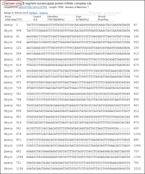 Sequence analysis of amplified gene