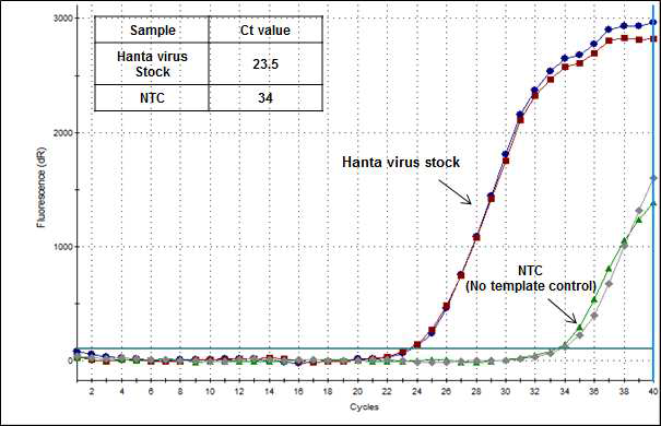 qRT-PCR result of hanta virus stock