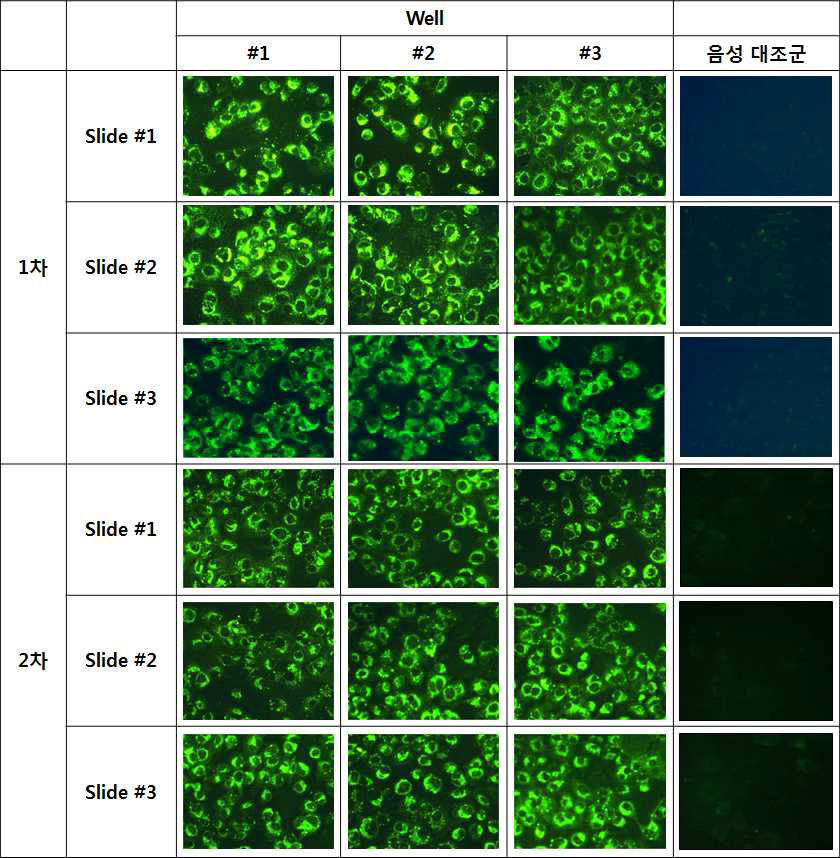 Antigen slides validation results # 1