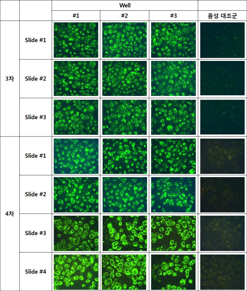 Antigen slides validation results # 2