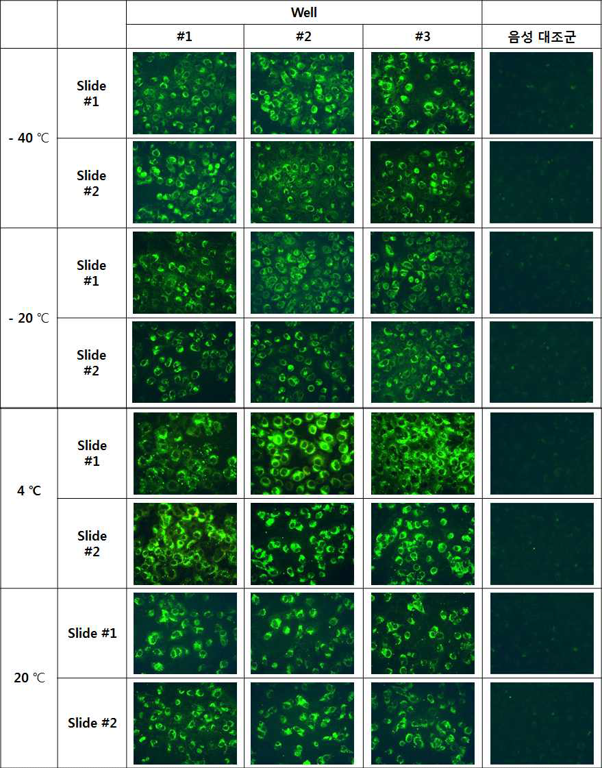 The short-term stability test results of antigen slides