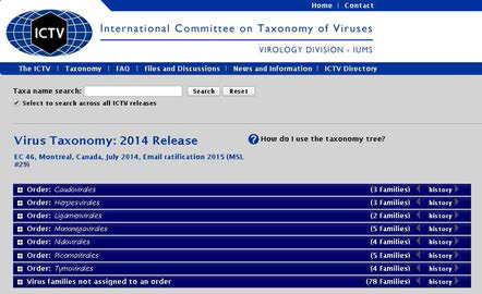 ICTV의 보유한 바이러스 분류